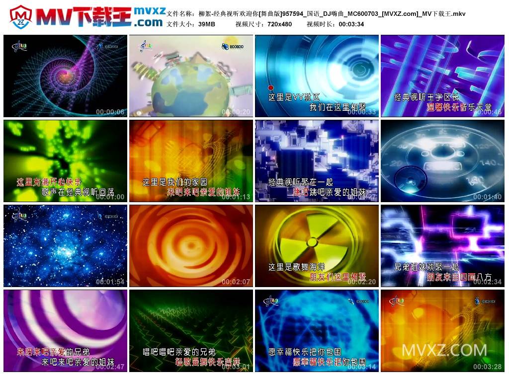 柳絮-经典视听欢迎你[舞曲版]957594_国语_DJ嗨曲_MC600703